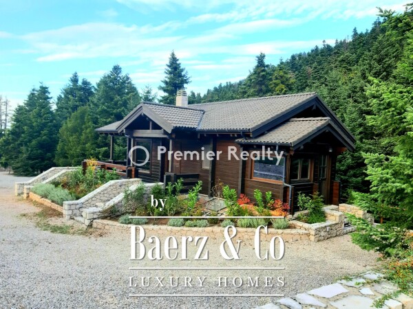 photo 3 950495 - Chalet | Eptalofos, Parnassos, 480 sq.m.