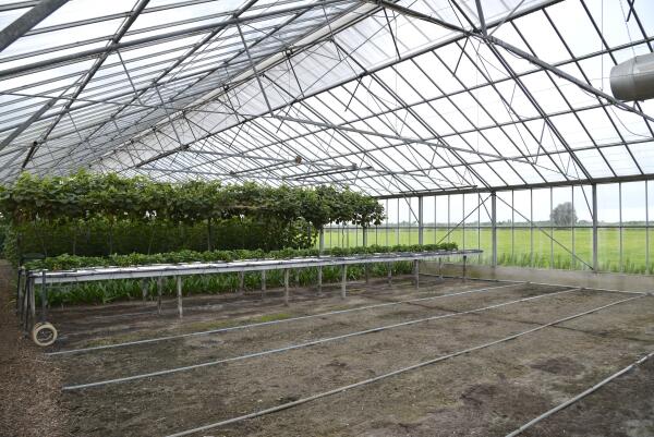 photo 44 Lange Meentweg 4