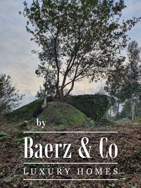 photo 8 Magnificent farm