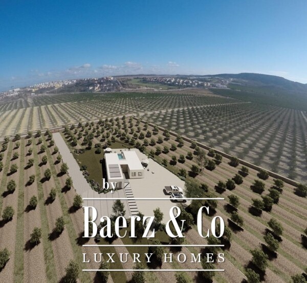 photo 2 Beautiful luxury home in Algorfa