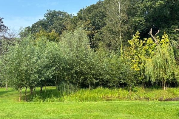 photo 31 Oude Liesboslaan 265