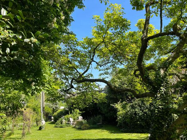 photo 58 Dorpsstraat 12