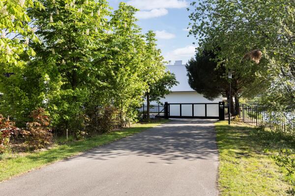 photo 7 Waterlelie 15