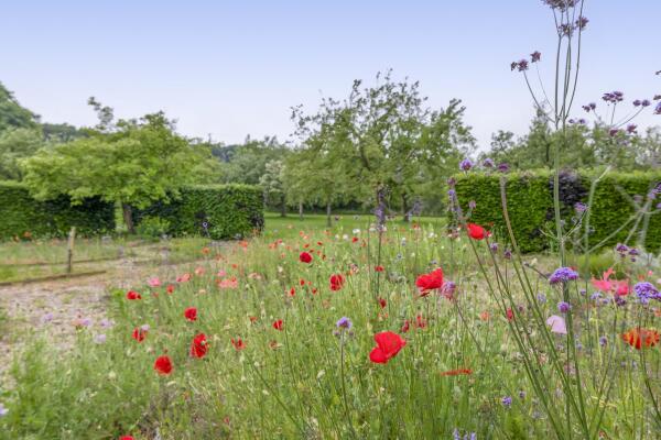 photo 44 Fokkershoek 29