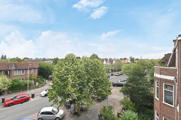 photo 41 Koningin Wilhelminalaan 520