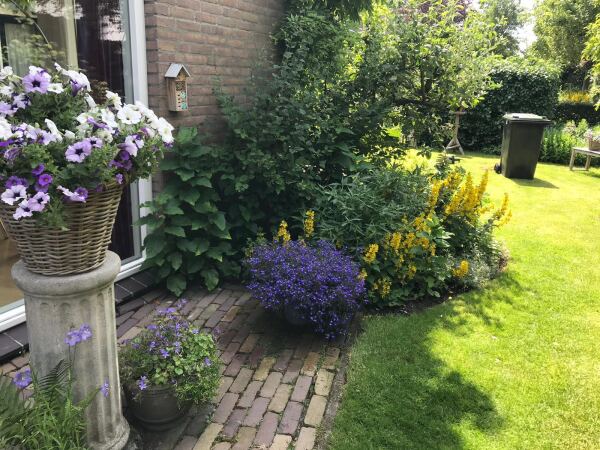 photo 24 Lijsterlaan 2 b