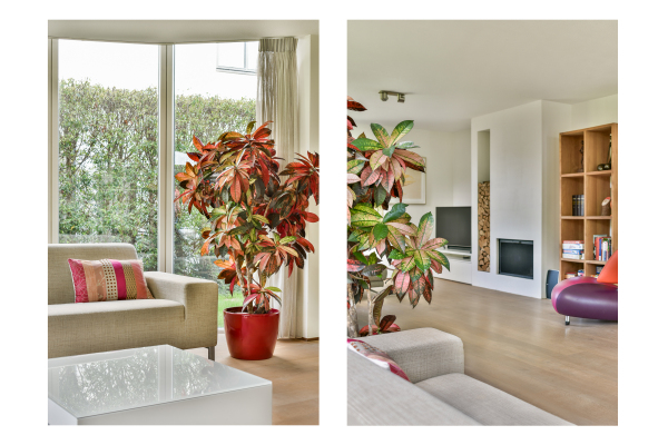 photo 7 Burgemeester Beelaertspark 297