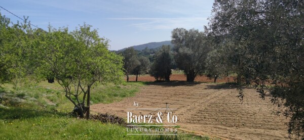 photo 10 Catalan-Style Country Estate – A Unique Historic Gem for sale