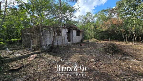 photo 8 Sagrado - Valladolid 