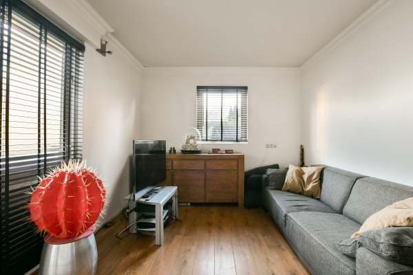 photo 13 Koningsvaren 30